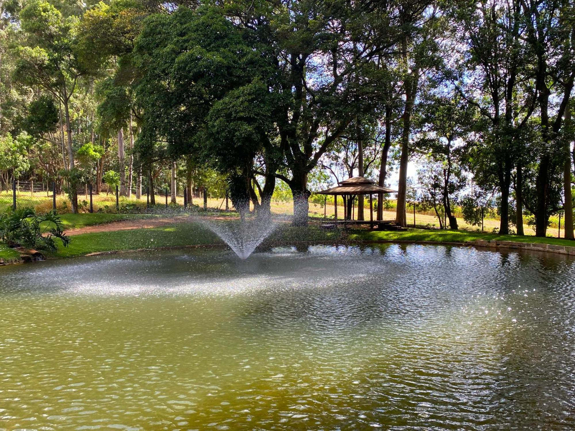 Limoeiro Da Concordia Hotel Fazenda De Charme Cabreúva Eksteriør bilde