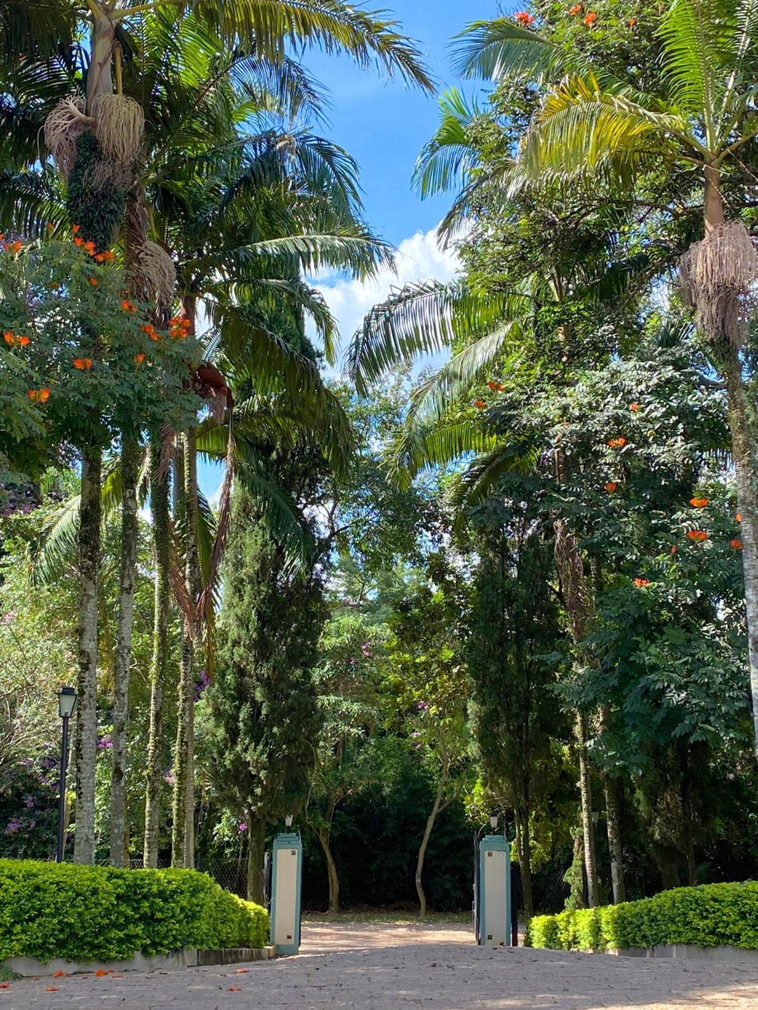 Limoeiro Da Concordia Hotel Fazenda De Charme Cabreúva Eksteriør bilde
